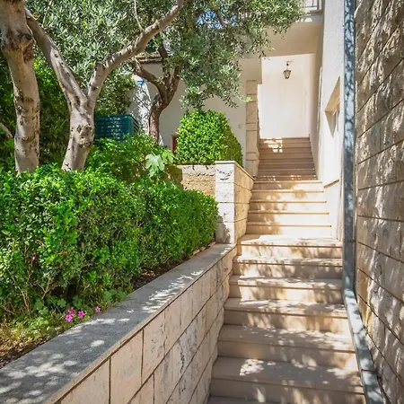 Daniela * 마카르스카